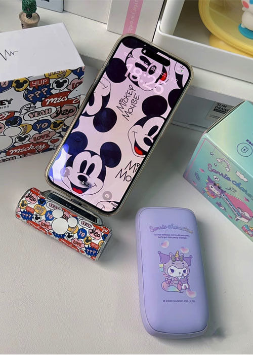 Ngân hàng năng lượng da loại túi 5000mAh Hơn 300 lần tuổi thọ
